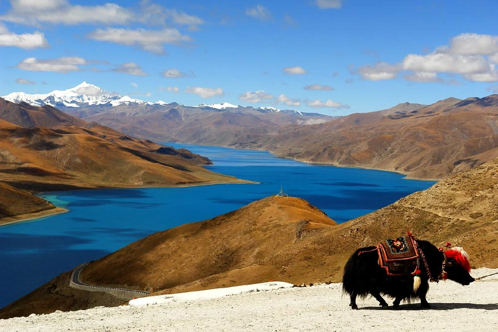 西藏旅游景点推荐,西藏旅游必去的几个地方