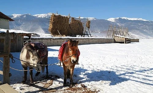 二月旅游景点,二月份最适合去哪旅游