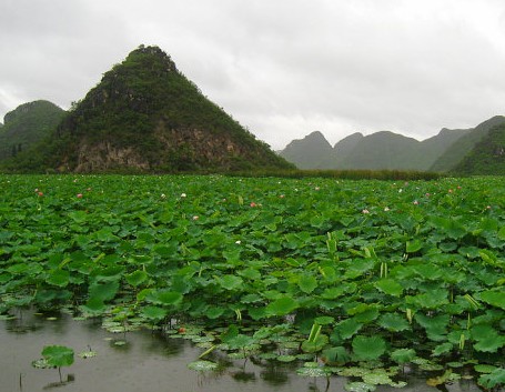 文山有哪些旅游景点（文山周边旅游景点）