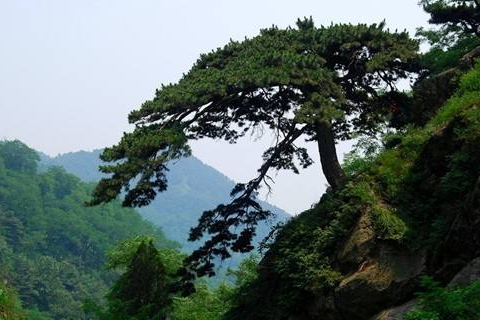 天乐城一日游,泰安天乐城游玩攻略天乐城门票多少钱是一张票玩所有项目吗得带多少钱合适