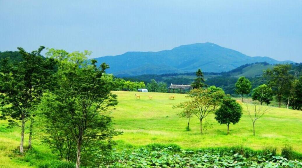 附近最近的旅游景点,附近都有哪些旅游景点