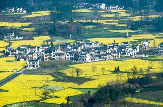 中国旅游必去十大景点有哪些能不能具体说说（国内不得不去的10大旅游景点）