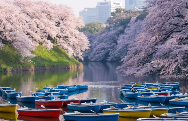 去日本旅游(自由行)大约一个月大概需要多少钱（去一次日本旅游需要多少钱啊）