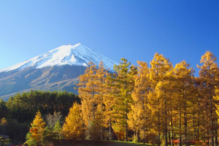 去日本签证学生签证,学生去日本旅游签证怎么办