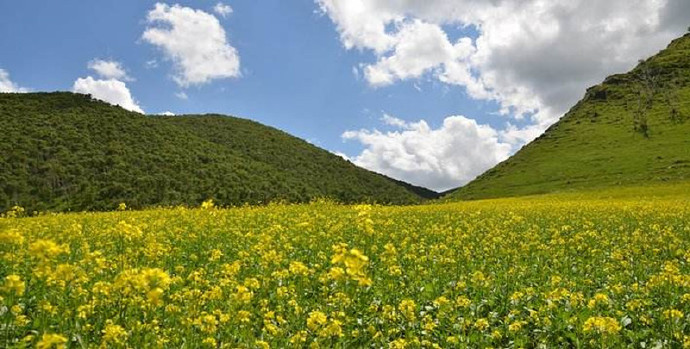 黄花沟一日游,黄花沟有什么旅游景点