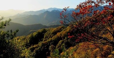 西安必去的旅游景点,去西安旅游哪些景点必去