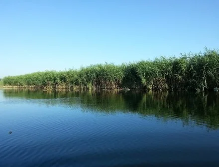 河北保定附近有什么旅游景点（河北省保定旅游景点大全）