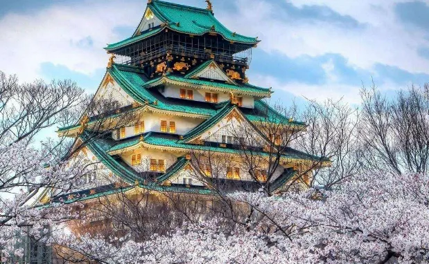 去日本旅游(自由行)大约一个月大概需要多少钱（去一次日本旅游需要多少钱啊）