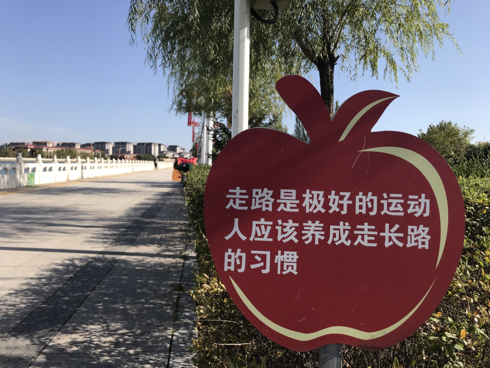 孕期适合去哪儿旅游（怀孕旅游景点）