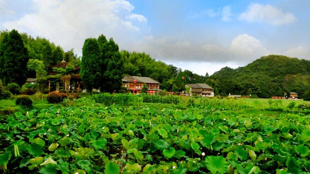 泰顺都有哪些旅游景点（文成泰顺旅游景点大全）