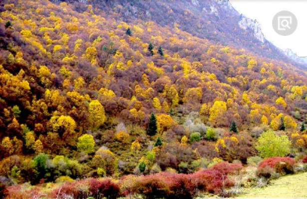 甘肃白银旅游景点（白银离哪个旅游景点近）