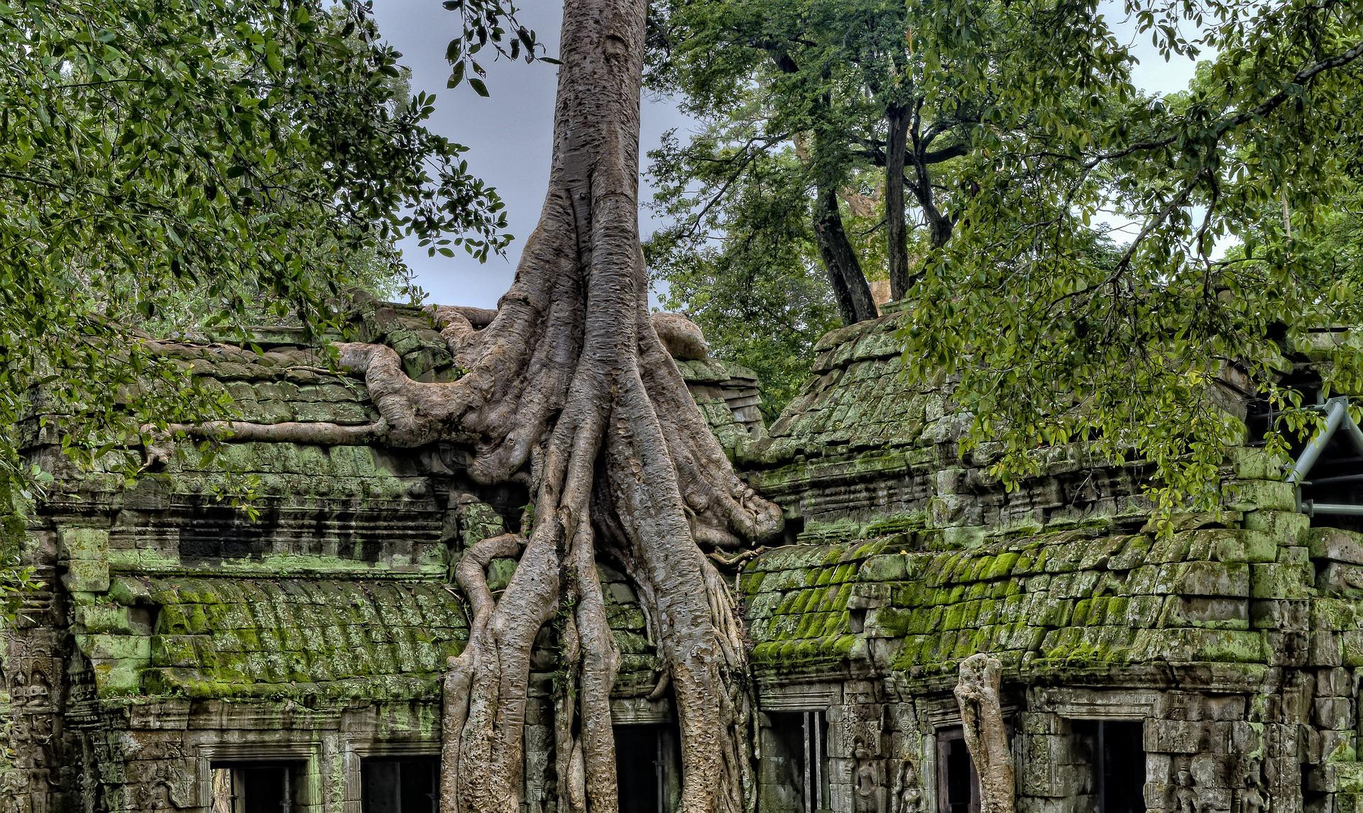 吴哥窟旅游景点,吴哥窟旅游必去的不可错过的景点有哪些呢