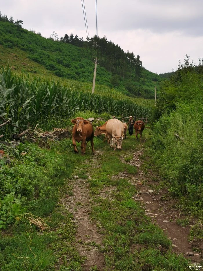 雅阁自驾,买车后的第一次出游一家三口自驾雅阁游玩仙山