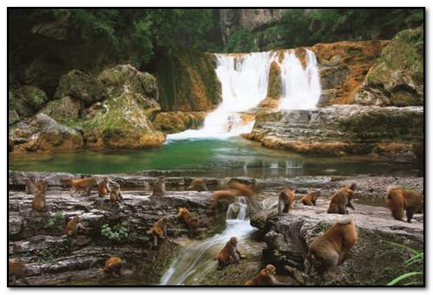 山西晋城附近有什么旅游景点（晋城附近的旅游景点）