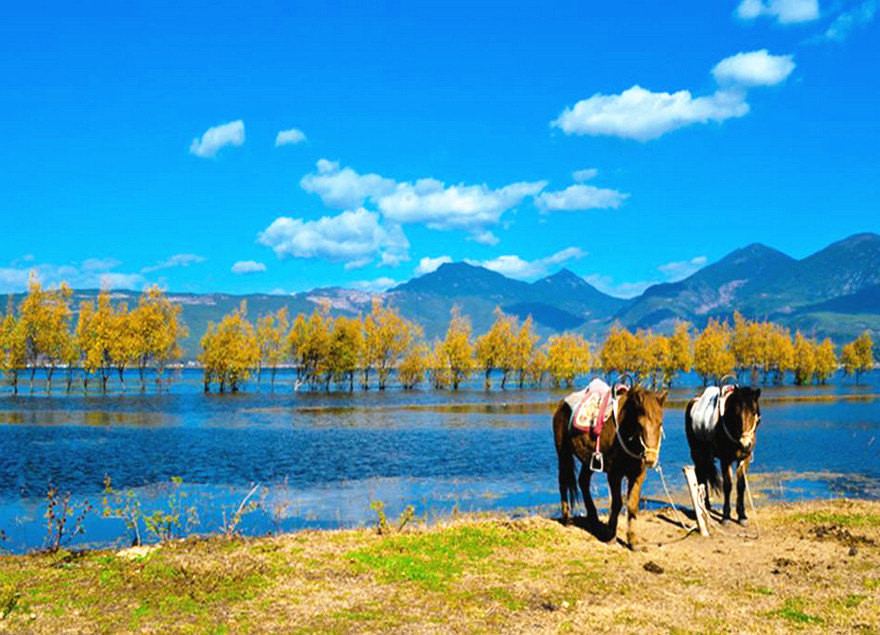 丽江有什么旅游景点,云南丽江旅游景点有哪些好玩