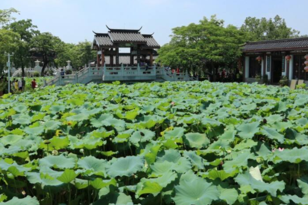 恵州海边旅游景点排行,惠州旅游景点排名前十分别是哪里