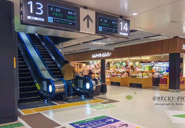 大阪到奈良一日游,大阪去奈良一日游往返怎么走合算