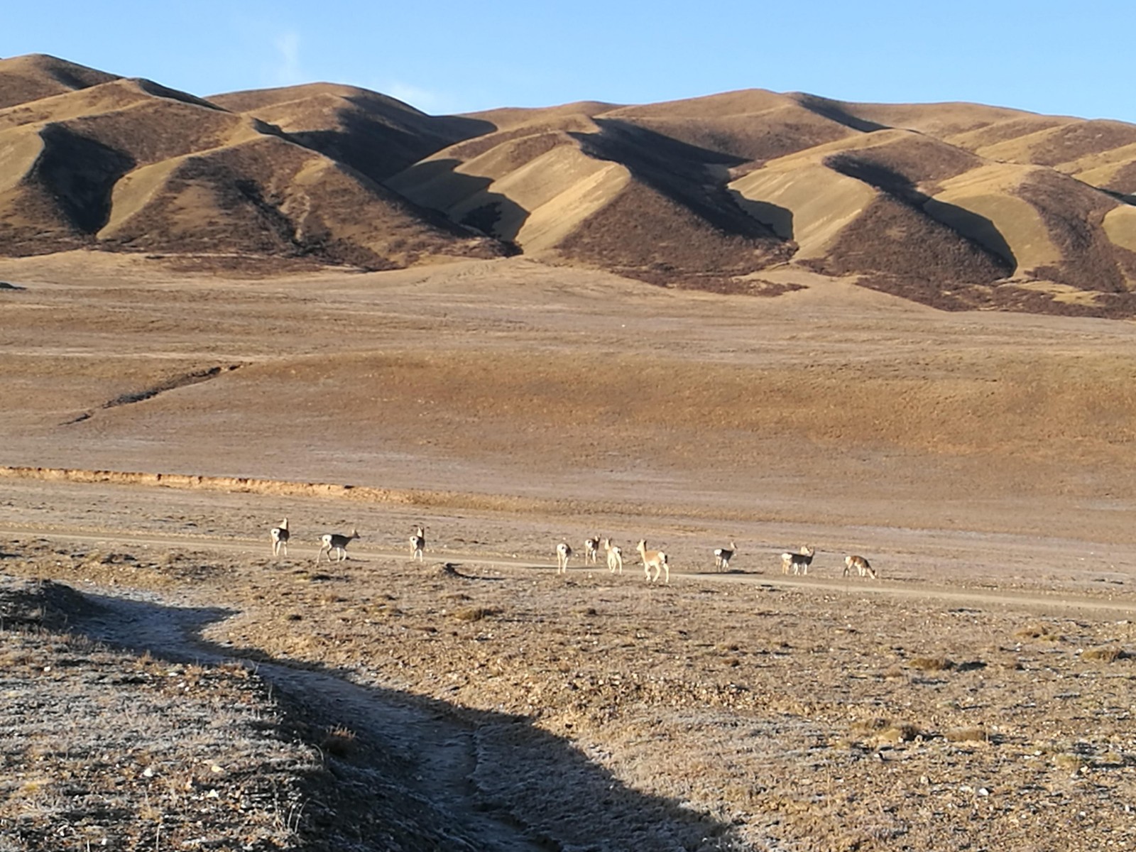 自驾路风景,有哪些风景绝美的自驾线路