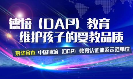 dap条款下一日游,DAP条款是什么意思