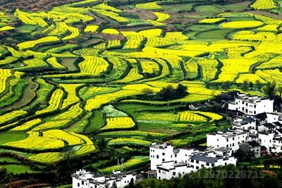 婺源旅游价格,婺源旅游门票价格多少