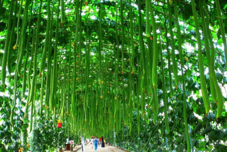 河北好玩的地方,河北必玩十大景区河北有哪些好玩的地方