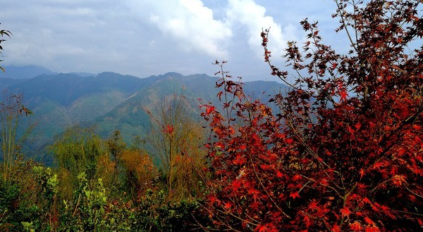 银厂沟旅游风景区,准备今年夏天在成都市区或成都周边地区一日游推荐几个好耍又凉快的地方啊！！急急！！！