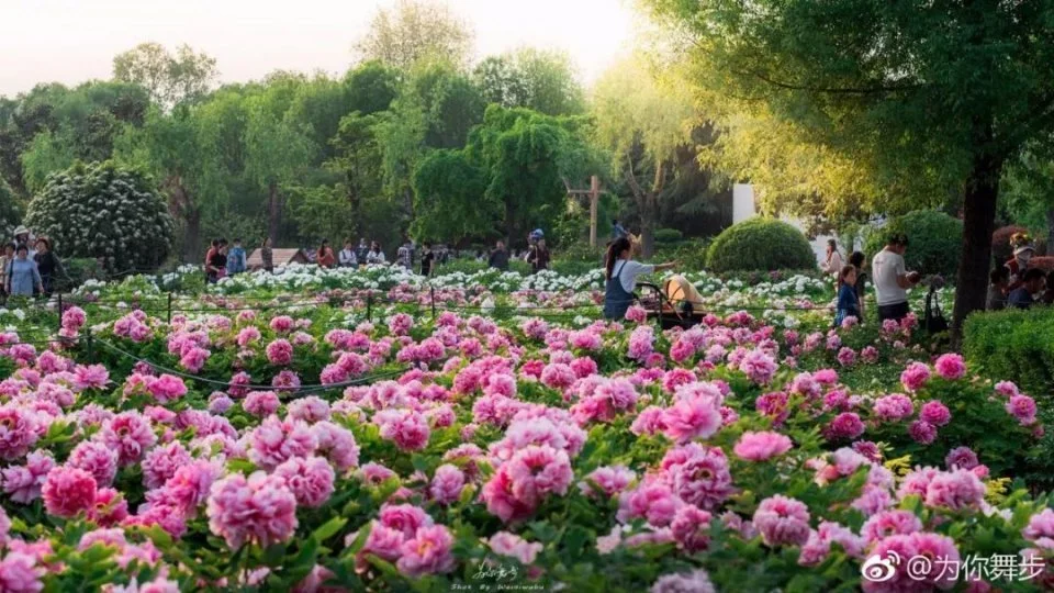 洛阳旅游价格,河南洛阳市各个旅游景点门票价格多少