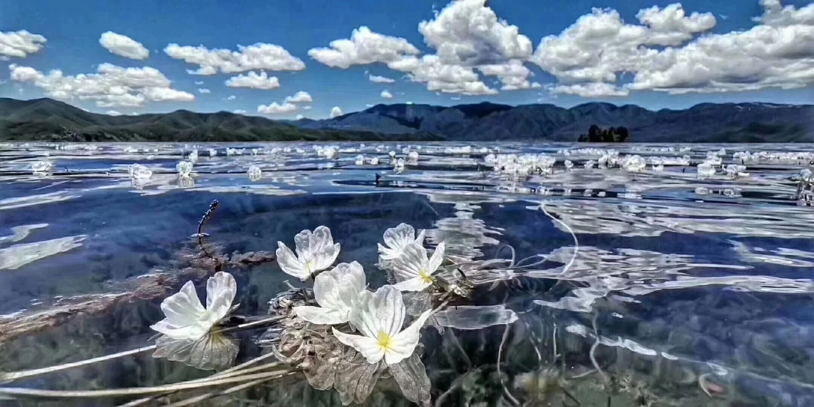 丽江旅游一星期需要多少钱（丽江旅游一星期要多少钱）