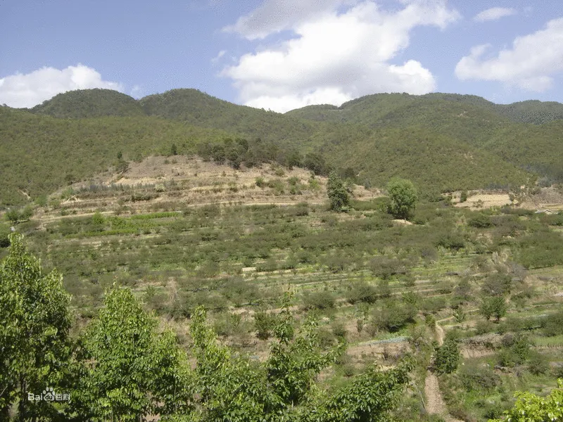 龙山旅游景点,龙山旅游景点哪里好玩