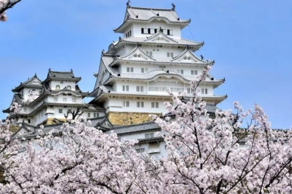 奈良一日游经典路线,去日本旅游有哪几条经典旅游线路