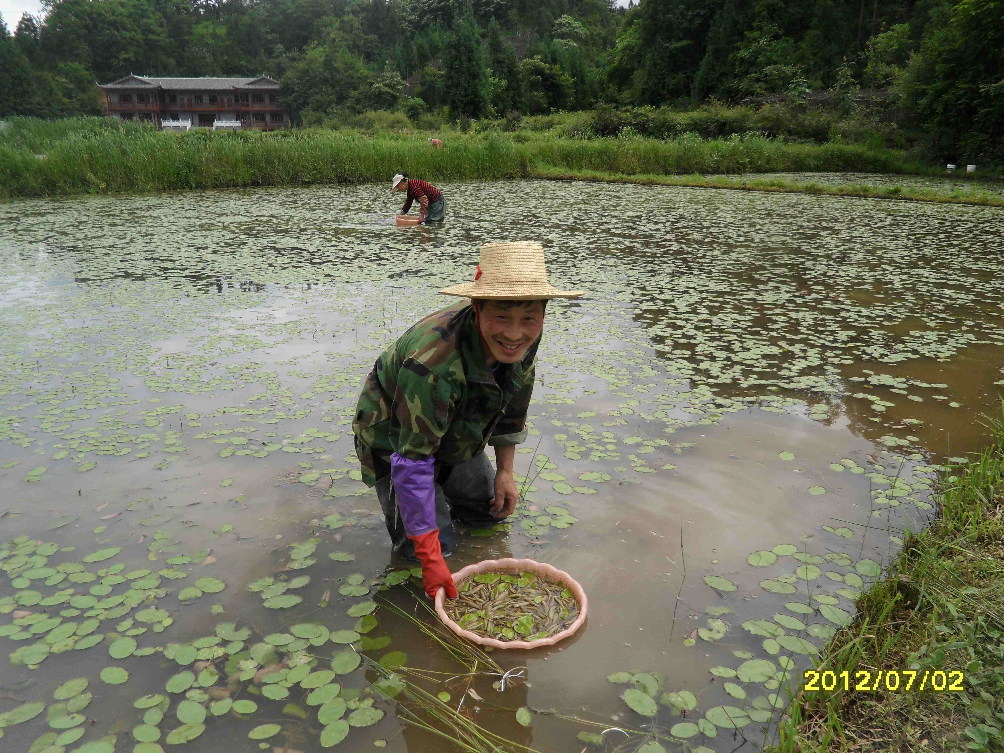 黄水镇旅游攻略,黄水有哪些景点