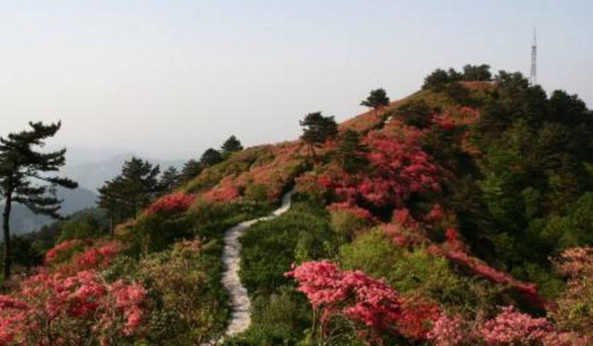 蕲春旅游景区,湖北黄冈蕲春县有哪些游玩景点