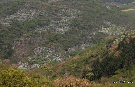 丫山花海石林一日游旅游攻略,丫山花海石林的诗情画意