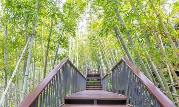 莫干山自驾游旅游攻略,莫干山旅游攻略自驾后山路好开吗