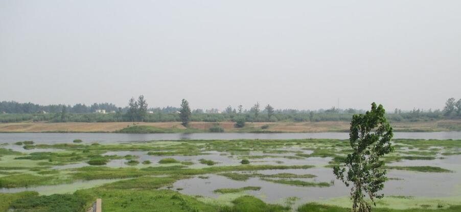 安徽阜阳有什么好的旅游景点（阜阳附近的旅游景点）