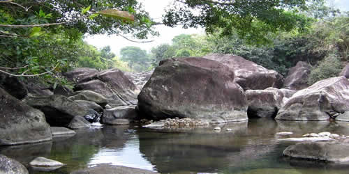 深圳坪山旅游景点大全,深圳坪山哪里好玩的地方