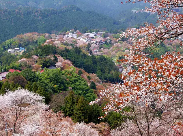 日本最好玩的地方,日本有哪些好玩的地方