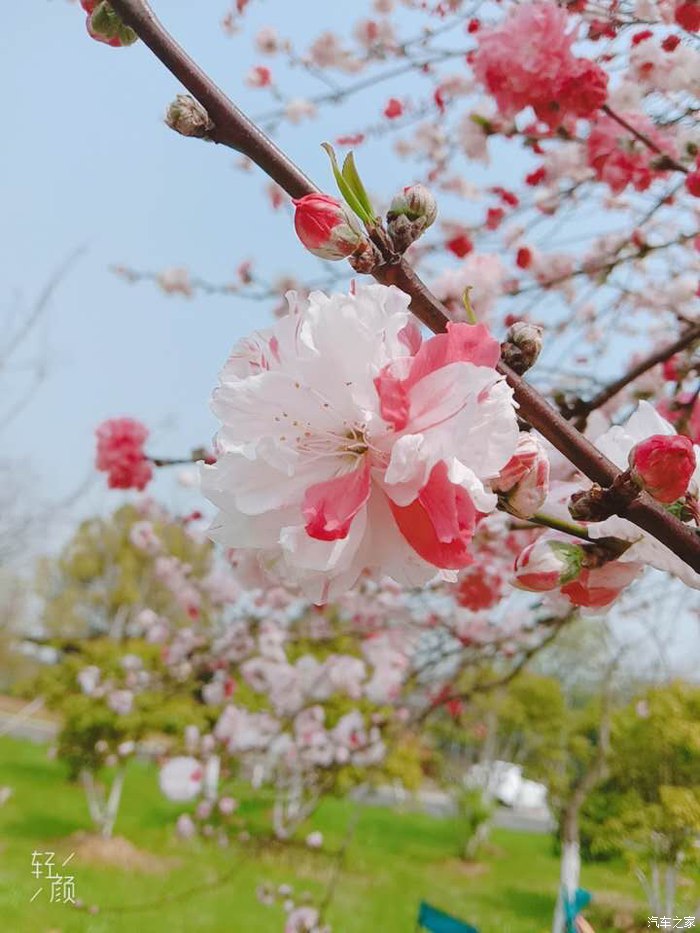 河池红色旅游自驾游路线（红色自驾游）