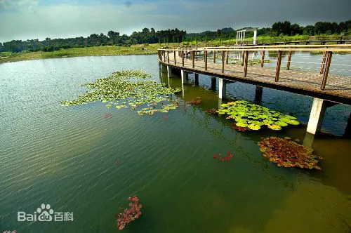 崇明岛一日游路线,上海去崇明岛一日游的路线推荐及旅游攻略