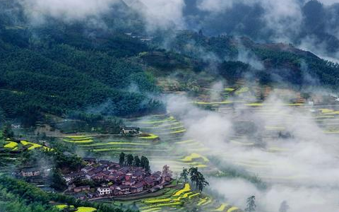 丽水旅游景点（丽水旅游景点排名）