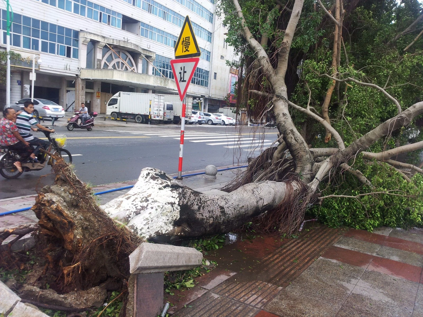 跟团游遇台风,跟团出去玩遇台风然后行程中断是否可以获得赔偿