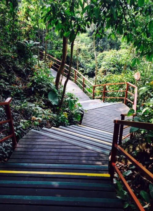 呀诺达雨林文化旅游区的主要景点（呀诺达雨林文化旅游区一日游）