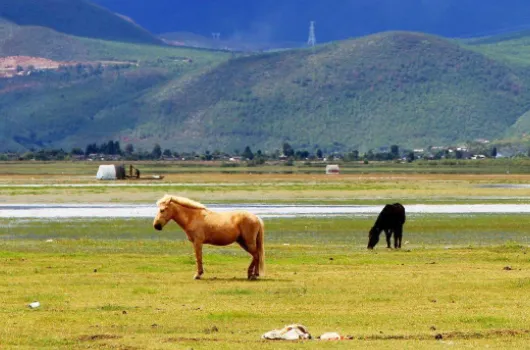 丽江有什么旅游景点,云南丽江旅游景点有哪些好玩