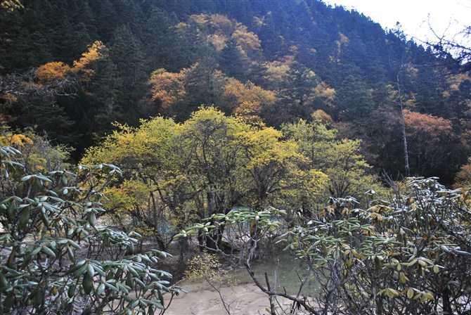 4月九寨沟旅游价格,几月去九寨沟最好