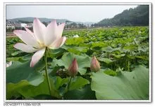 韶山旅游线路,韶山旅游线路走吧旅行一日行路线怎么样