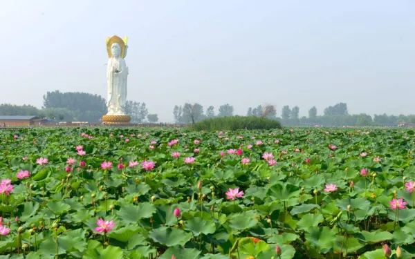 长沙到白洋淀旅游攻略（白洋淀旅游攻略）