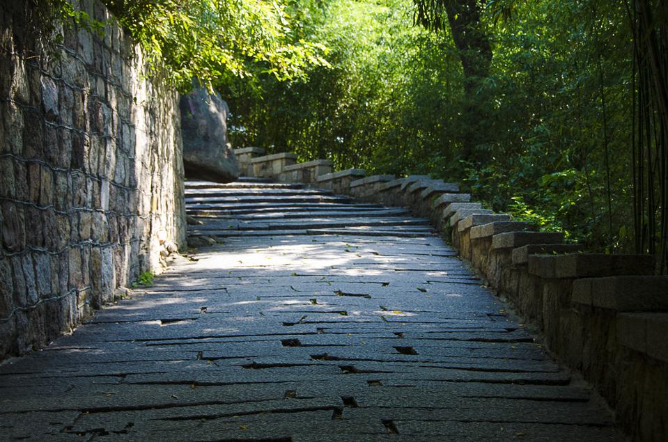 崂山一日游怎么玩（崂山攻略一日游）