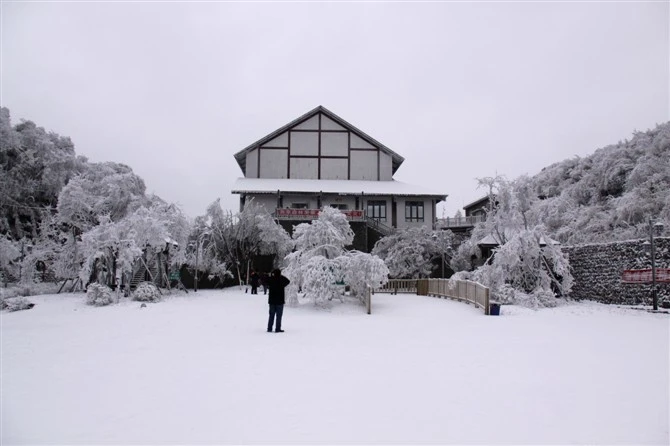 金佛山旅游大概需要多少钱（金佛山旅游费用）