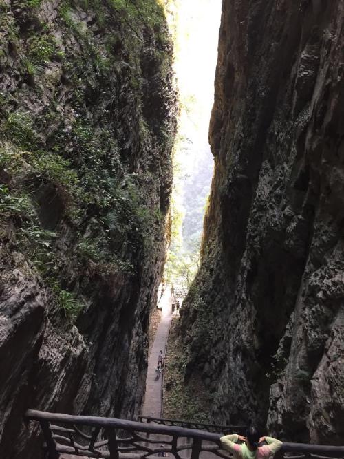 张家界大峡谷一日游,张家界大峡谷玻璃桥一日游攻