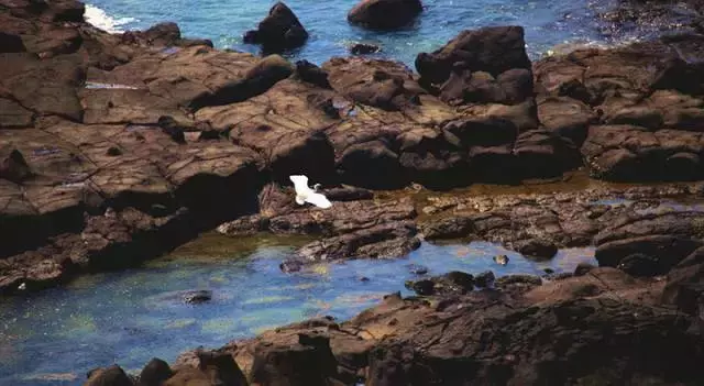 哪十个美丽海岛现在被列为五星级旅游景点了（世界著名岛屿旅游景点）